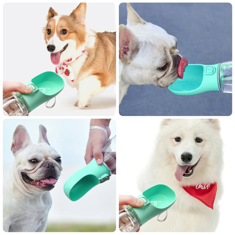 Bebedouro de Água Portátil Para Cachorro Doggy Sip